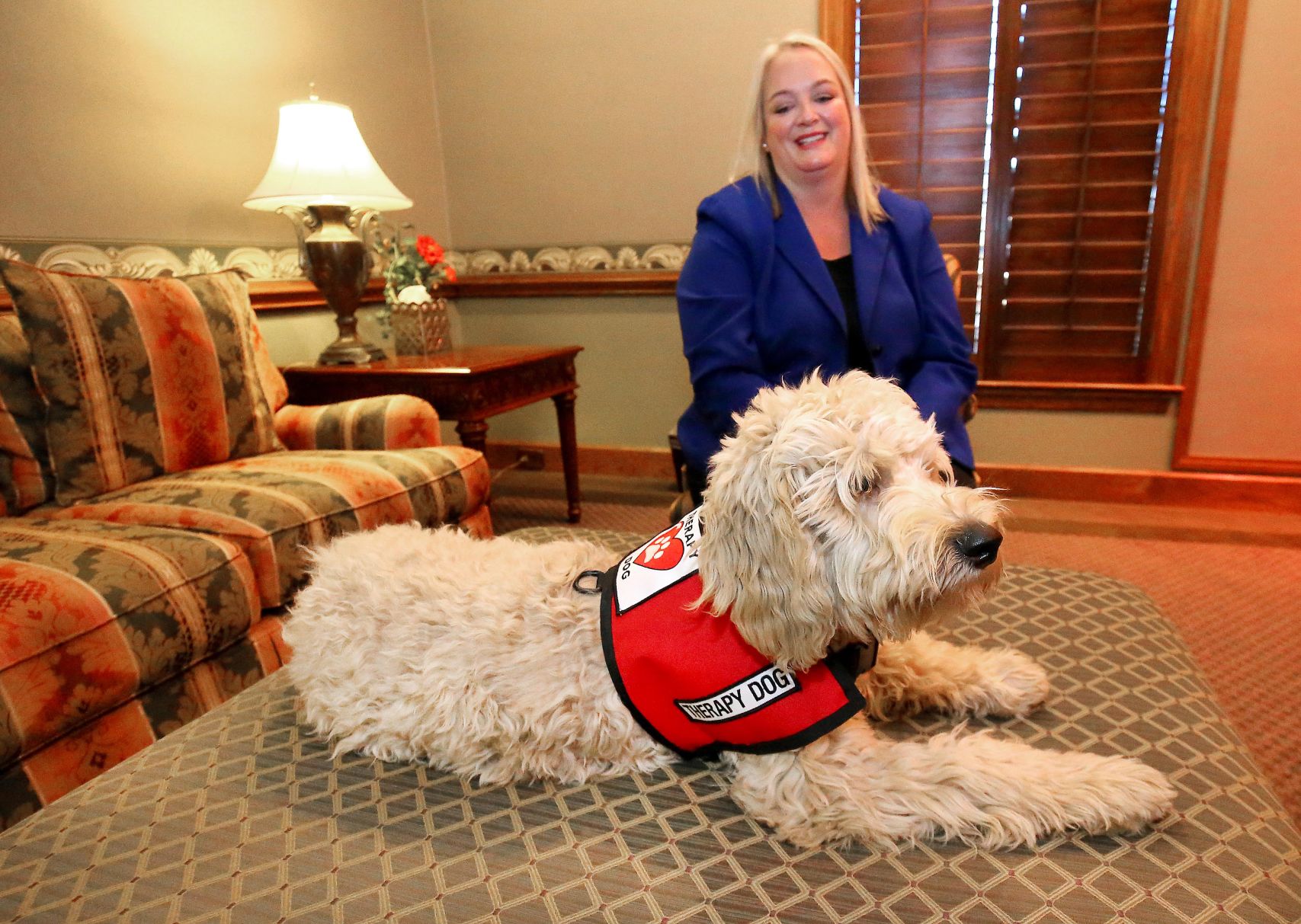 Quimby Grief therapy dog